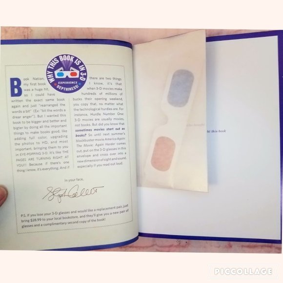 America Again: Re-Becoming the Greatness We Never Weren't - Picture 6 of 8